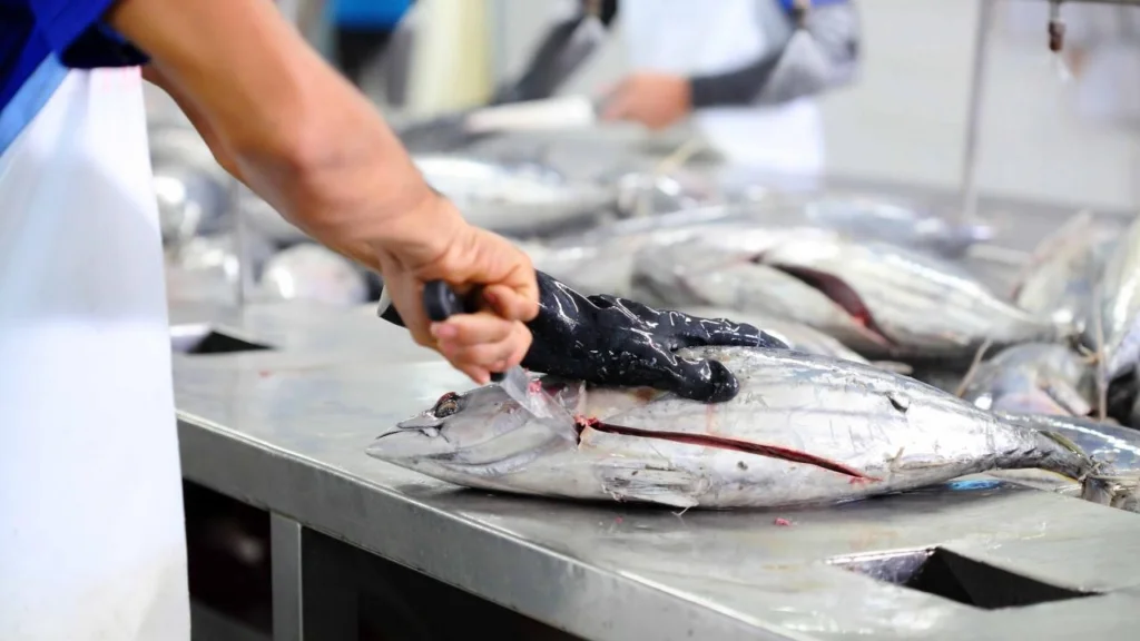 Seafood Preparer – Fish and Seafood Processing Job in Bonne Bay, NL | $17.65 per Hour | 3T’s Limited