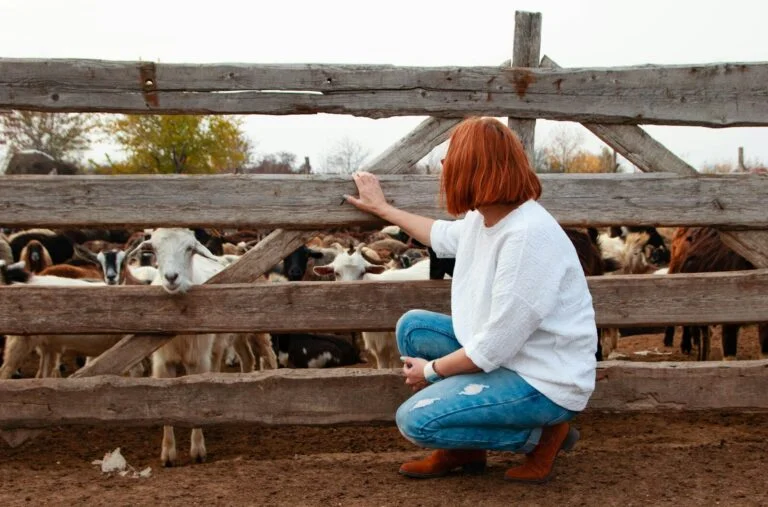 Dairy Farm Worker Job in Corbyville, ON | $18.00 – $20.00 per Hour