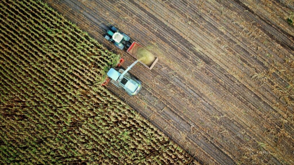 Why Agricultural Carbon Credits Often Fail Farmers