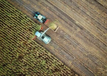 Why Agricultural Carbon Credits Often Fail Farmers