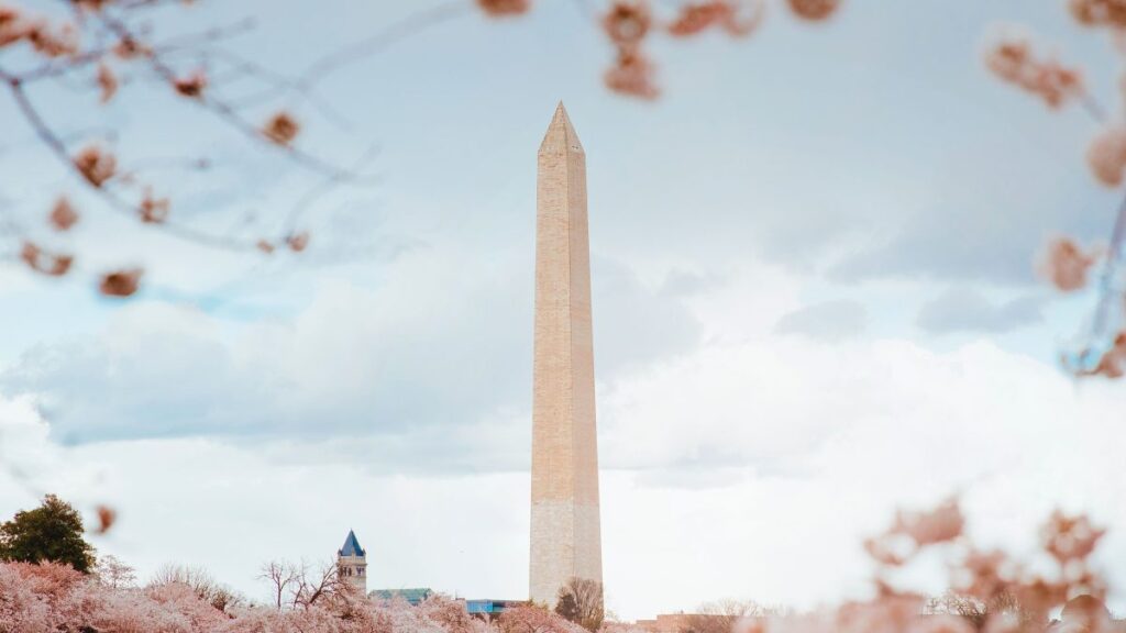 American University Emerging Global Leader Scholarship 2027 (Fully Funded)