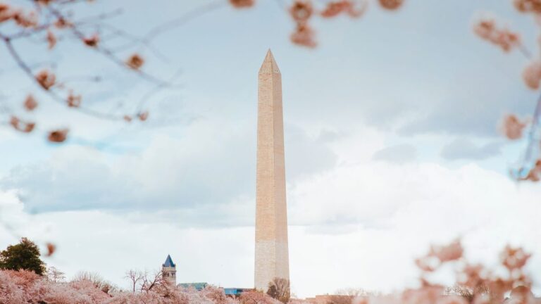 American University Emerging Global Leader Scholarship 2027 (Fully Funded)