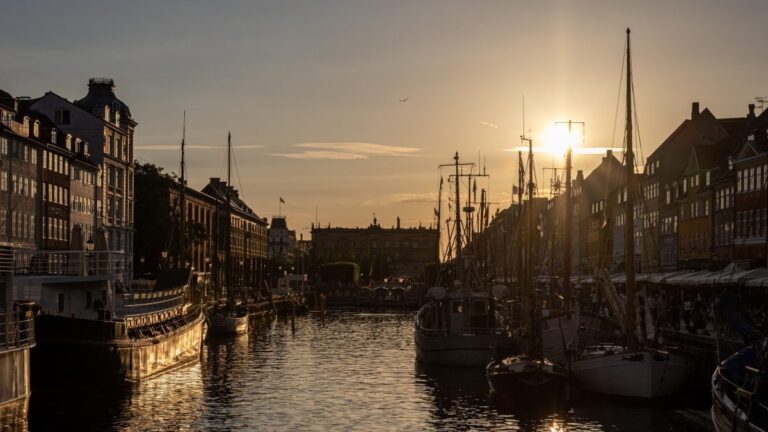 CBS Danish Government Scholarship 2027 (Partial Funding)