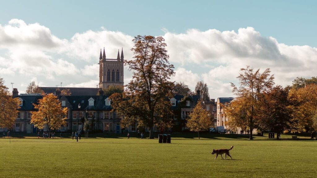 Cambridge International Scholarship 2027 (Fully Funded)
