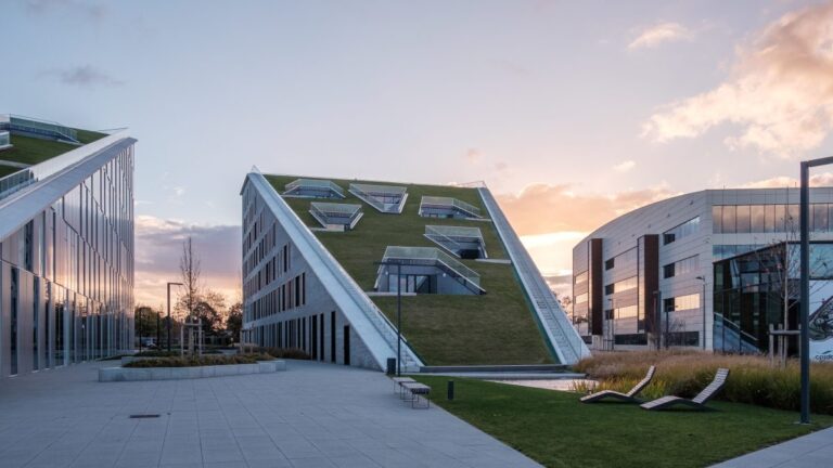 Radboud Scholarship Programme 2027 (Partial Funding)