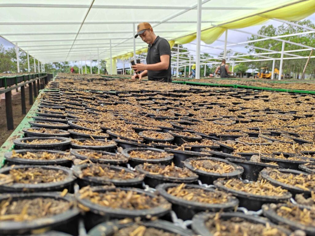 nursery labourer jobs in Canada - worker in greenhouse