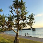 OIST PhD Programme 2027 (Fully Funded)